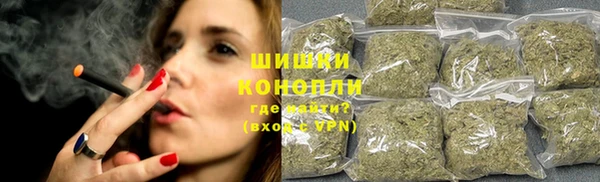 гидра Белоозёрский