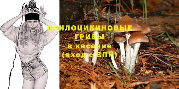 эйфоретик Белокуриха
