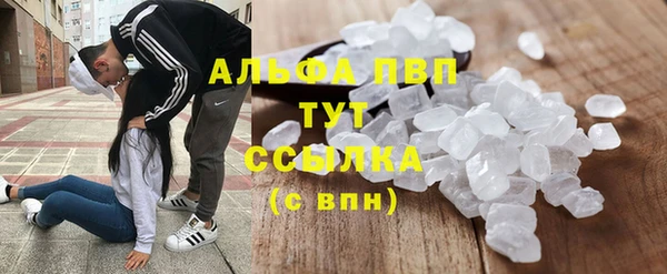 амф Богданович