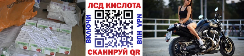 где можно купить   Гусев  Лсд 25 экстази ecstasy 
