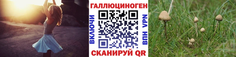 OMG вход  мориарти телеграм  Псилоцибиновые грибы GOLDEN TEACHER  сколько стоит  Гусев 