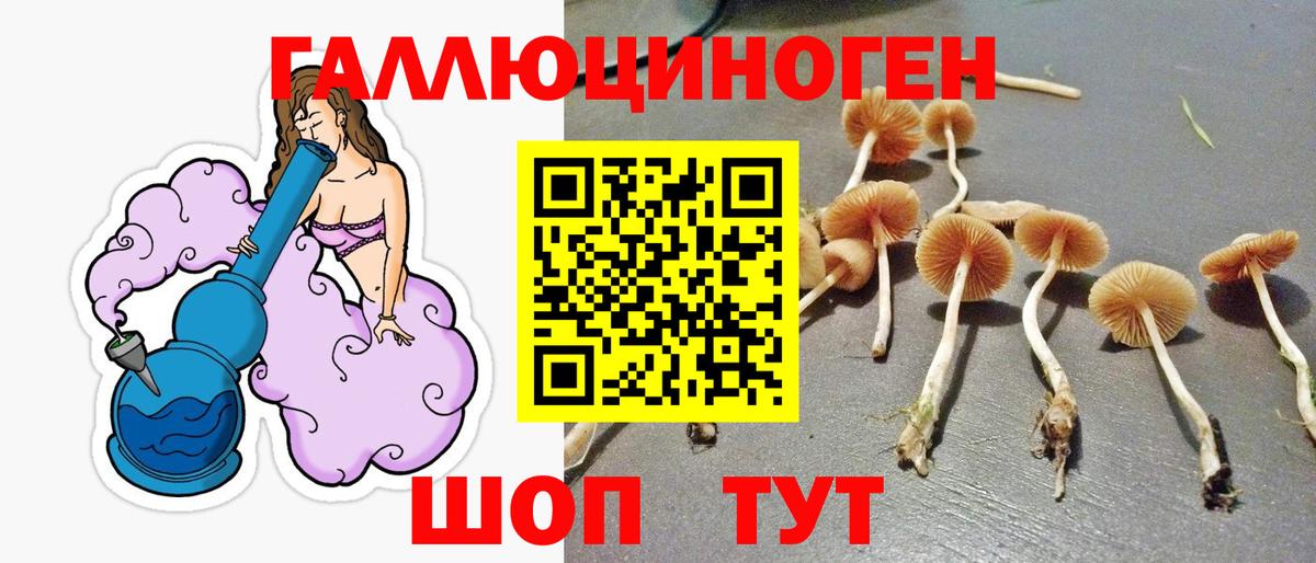 Галлюциногенные грибы Magic Shrooms Гусев