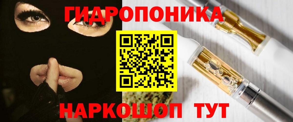 Марихуана сатива Гусев